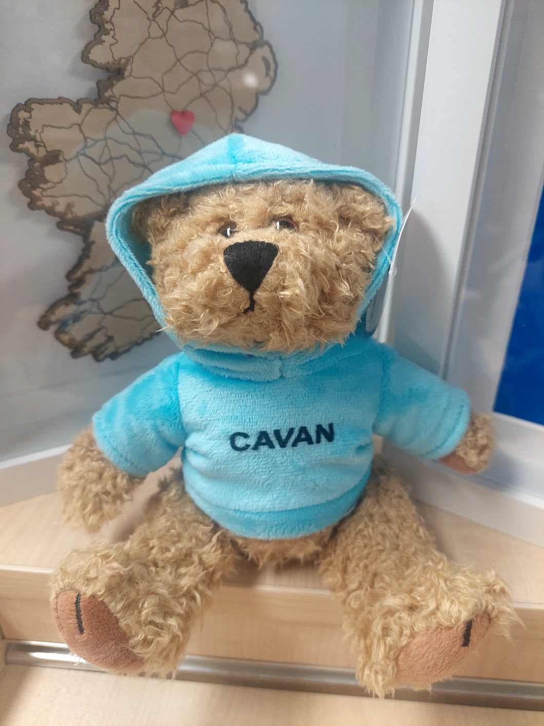 Teddy bear wearing a blue hoodie with 'CAVAN' printed on it, sitting on a surface.