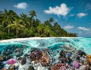 A Dive in the Maldives 2000pce puzzle