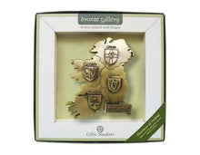 Load image into Gallery viewer, Bronze Ireland map wall plaque in a box with 'Bronze Gallery' branding.
