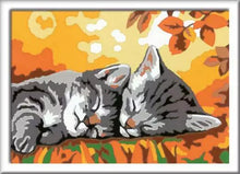 Load image into Gallery viewer, CreArt Paint by Numbers - Autumn Kitties
