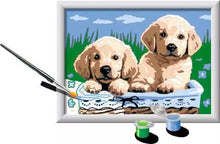 Load image into Gallery viewer, CreArt Paint by Numbers - Cute Puppies
